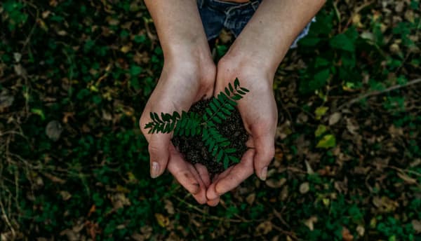 Eco